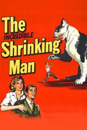 Watch Free The Incredible Shrinking Man (1957)
