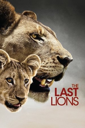 Watch Free The Last Lions (2011)