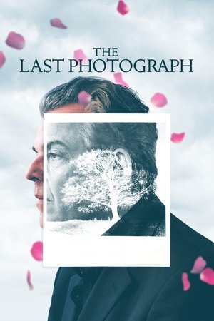Watch Free The Last Photograph (2017)