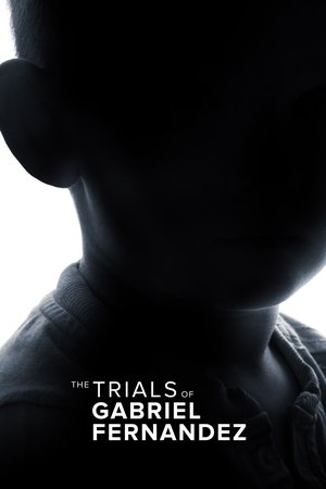 Watch Free The Trials of Gabriel Fernandez (2020)