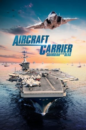 Watch Free Aircraft Carrier: Guardian of the Seas (2016)