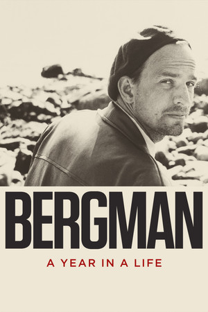 Watch Free Bergman A Year in a Life (2018)