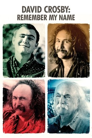 Watch Free David Crosby Remember My Name (2019)