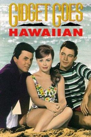 Watch Free Gidget Goes Hawaiian (1961)