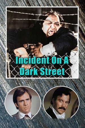 Watch Free Incident on a Dark Street (1973)