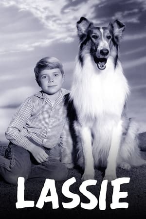 Watch Free Lassie (1954-1974)