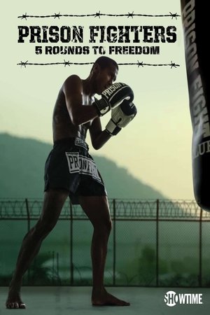 Watch Free Prison Fighters: Five Rounds to Freedom (2017)