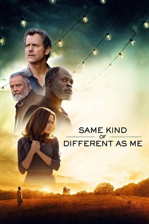 Watch Free Same Kind of Different as Me (2017)