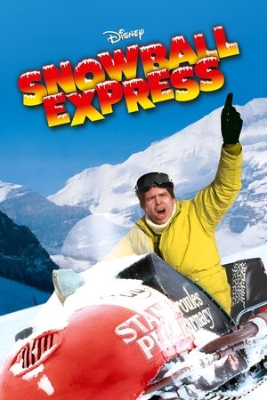 Watch Free Snowball Express (1972)
