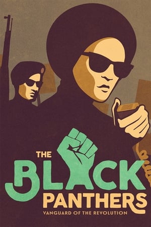 Watch Free The Black Panthers Vanguard of the Revolution (2015)