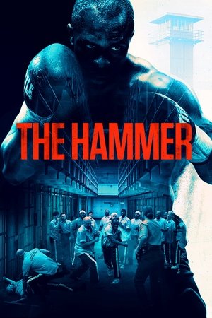 Watch Full Movie: The Hammer (2017)