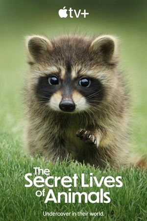 Watch Free The Secret Lives of Animals (2024-)