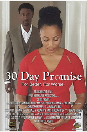 Watch Free 30 Day Promise (2017)