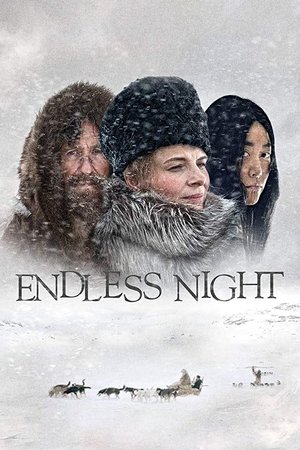 Watch Free Nobody Wants the Night 2015