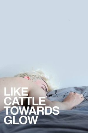 Watch Free Like Cattle Towards Glow (2015)