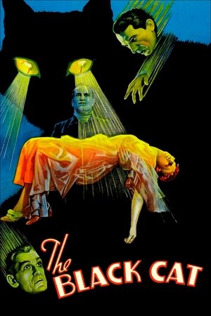 Watch Free The Black Cat (1934)