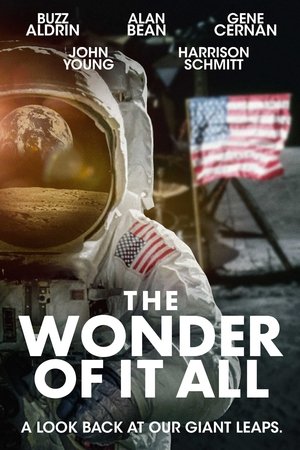 Watch Free The Wonder of It All (2007)
