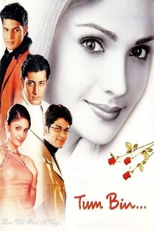 Watch Full Movie: Tum Bin Love Will Find a Way (2001)