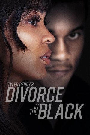 Watch Free Tyler Perrys Divorce in the Black (2024)