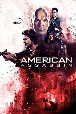 Watch Free American Assassin (2017)