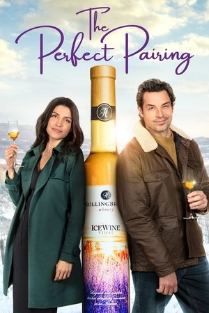 Watch Free The Perfect Pairing (2022)