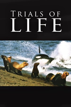 Watch Free The Trials of Life (1990 )