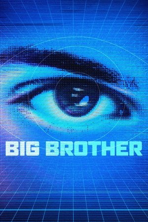 Watch Free Big Brother (2001-2022)