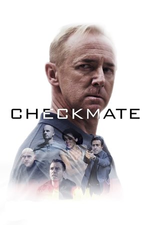 Watch Free Bystander (2017)
