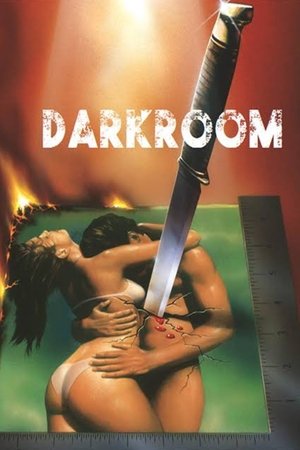 Watch Full Movie: Darkroom (1989)