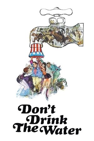 Watch Free Dont Drink the Water (1969)