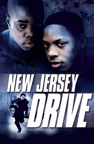Watch Free New Jersey Drive (1995)