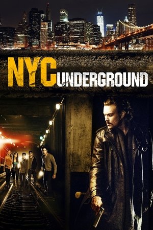 Watch Free NYC Underground 2013