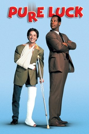 Watch Free Pure Luck (1991)