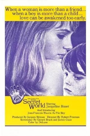 Watch Free Secret World (1969)