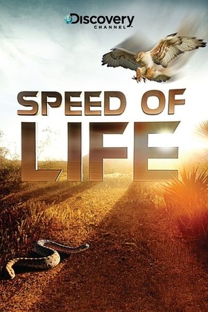 Watch Free Speed of Life (2010)