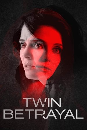 Watch Free The Duplicate (2017)