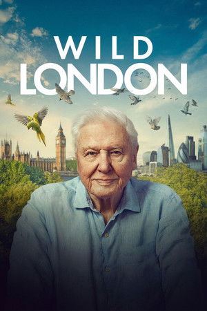 Watch Free Wild London (2026)