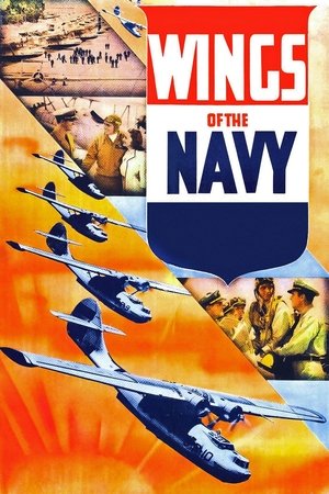 Watch Free Wings of the Navy (1939)