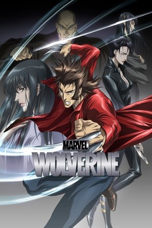 Watch Free Wolverine (2011)