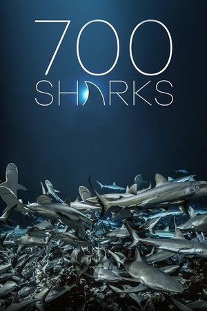 Watch Free 700 requins dans la nuit (2018)