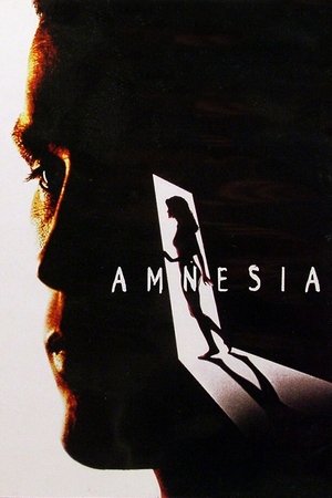 Watch Free Amnesia (1997)