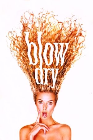 Watch Free Blow Dry (2001)