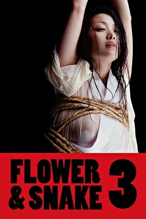 Watch Free Flower & Snake 3 (2010)