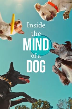 Watch Free Inside the Mind of a Dog (2024)