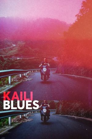 Watch Free Kaili Blues (2015)