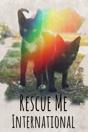 Watch Free Rescue Me: International (2020)