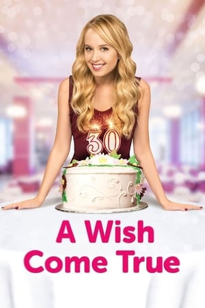 Watch Free A Wish Come True (2015)