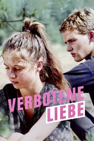Watch Free Forbidden Love (1990)