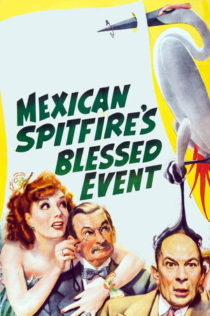 Watch Free Mexican Spitfires Blessed Event (1943)
