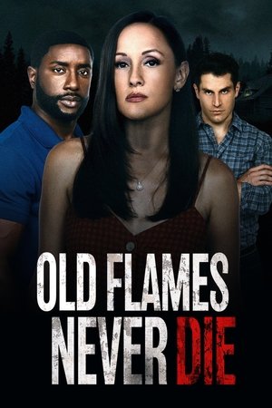 Watch Free Old Flames Never Die (2022)
